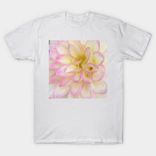 Macro Soft Pink, Yellow And White Dahlia Bloom T-Shirt